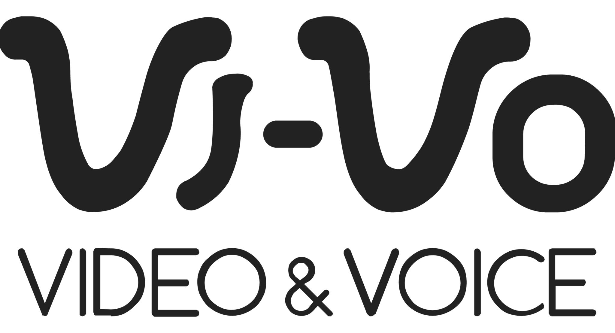 VI-VOの公式イメージ画像