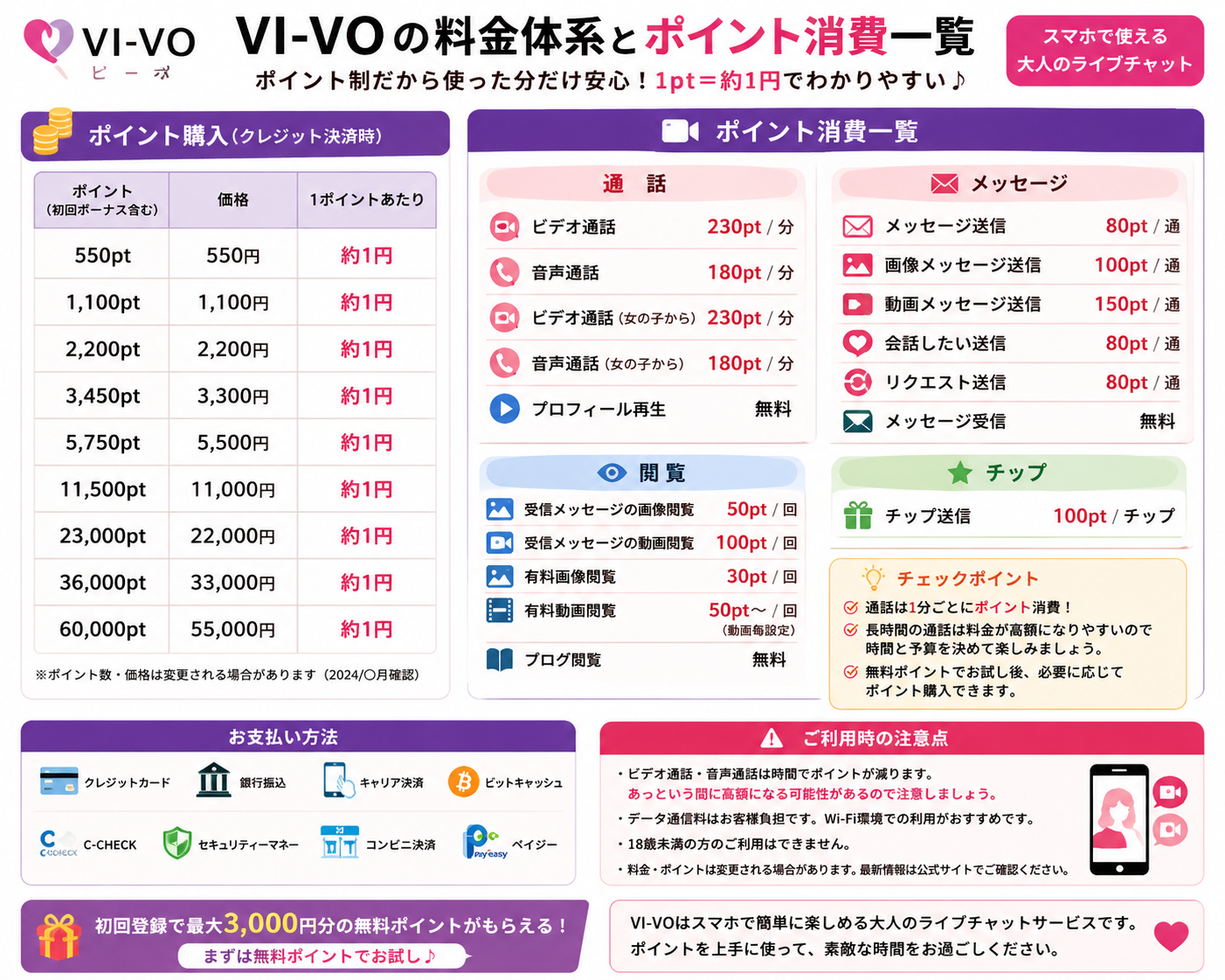 VI-VOの料金体系とポイント消費一覧